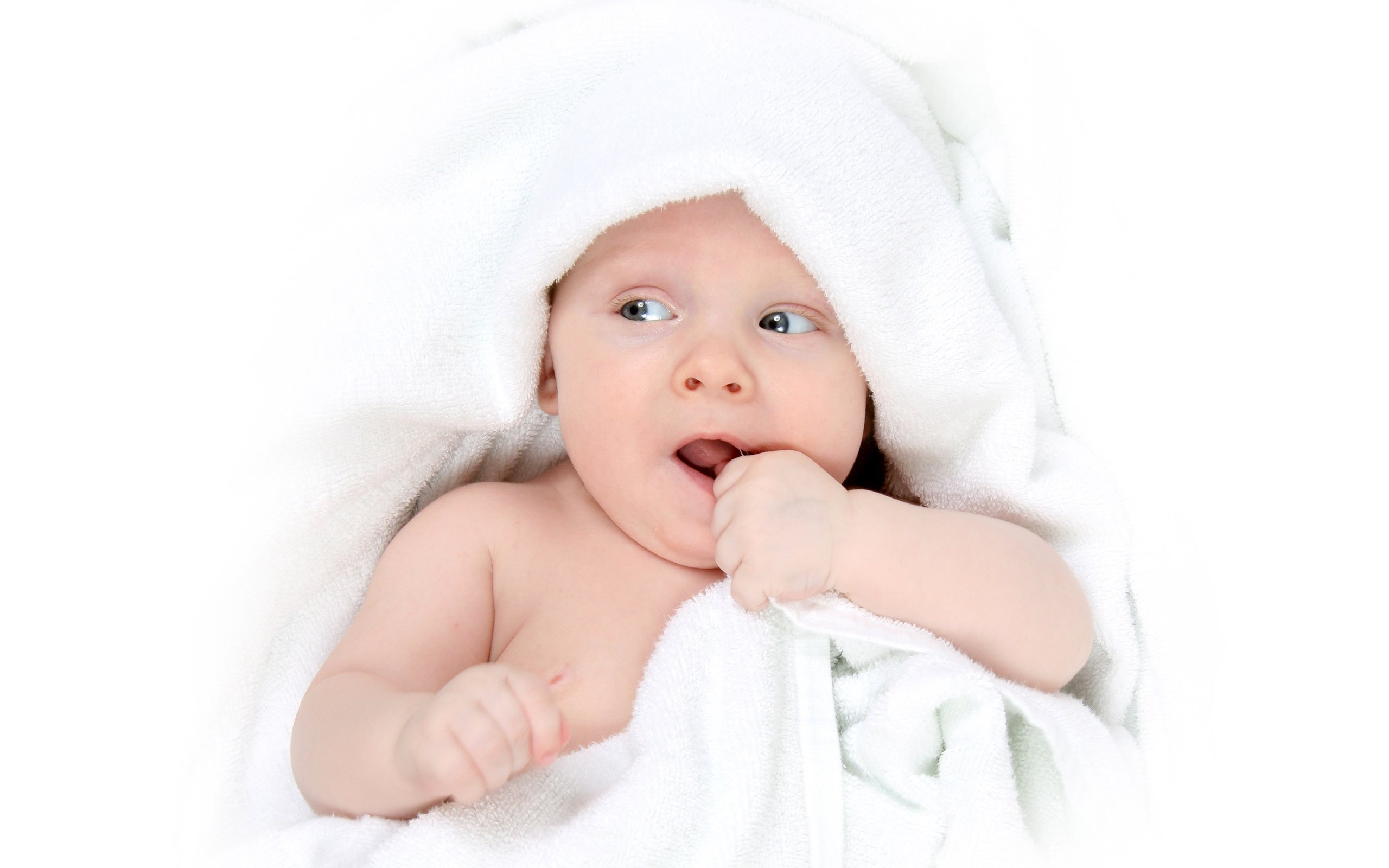 福州代怀生子助孕机构试管婴儿成功率怎么算
